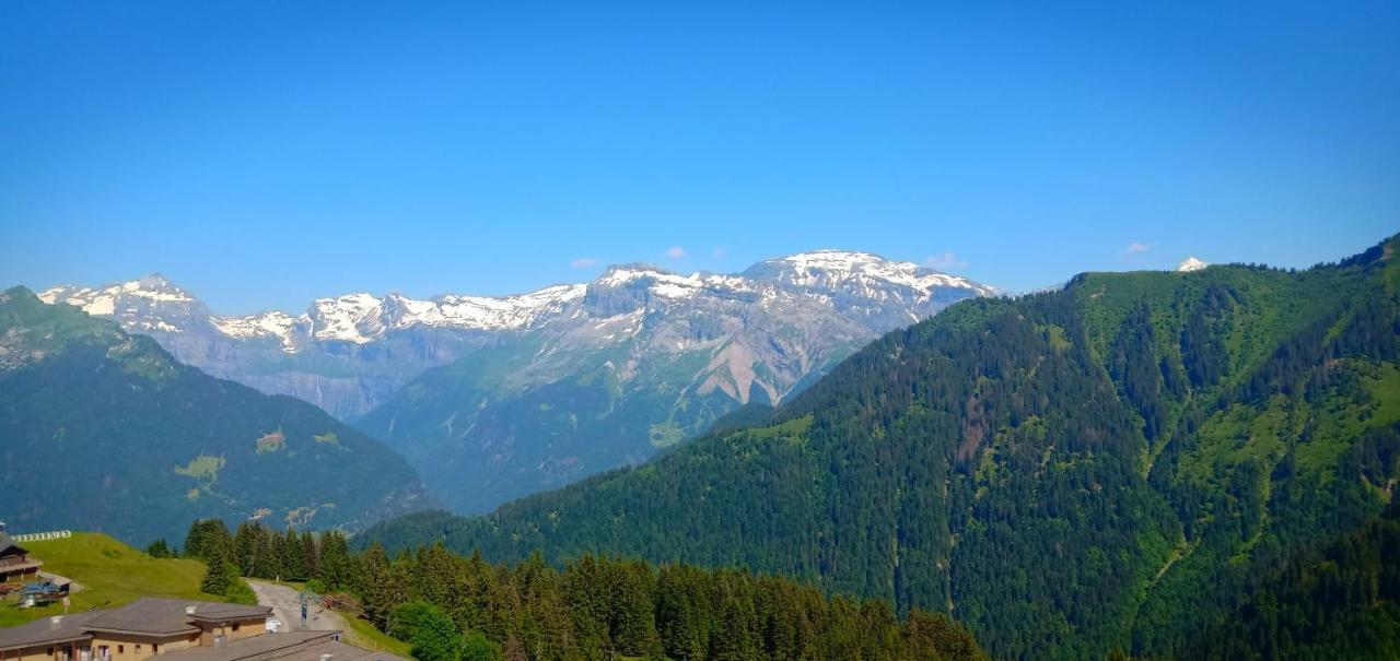 Appartement Au Pied Des Pistes Samoëns Exteriér fotografie